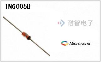 1N6005B