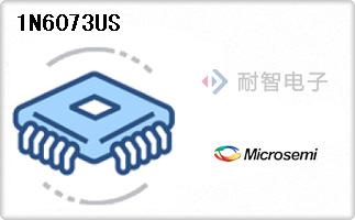 1N6073US