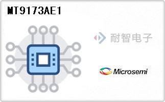 MT9173AE1