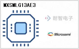 MXSMLG13AE3
