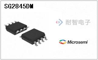 SG2845DM����
