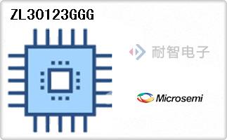 ZL30123GGG