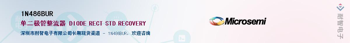 1N486BUR����(y��ng)��-�������