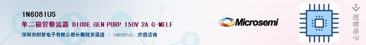 1N6081US������-�������