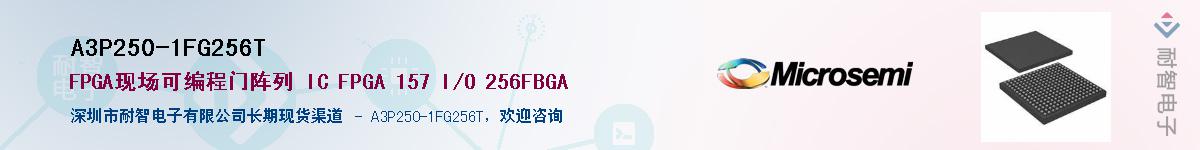 A3P250-1FG256T����(y��ng)��-�������