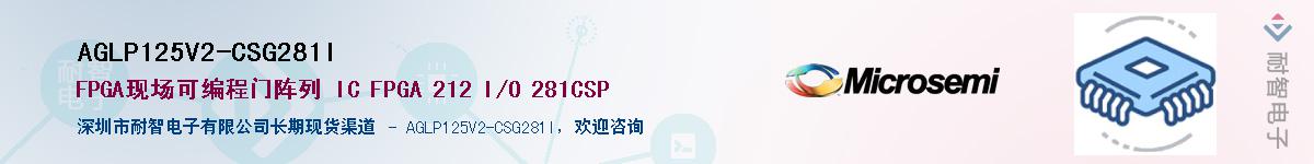 AGLP125V2-CSG281I������-�������