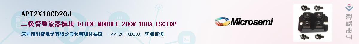 APT2X100D20J������-�������