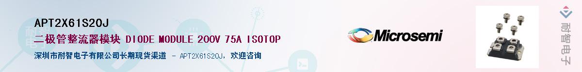 APT2X61S20J������-�������