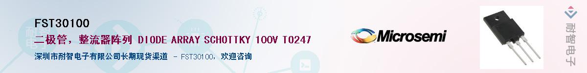 FST30100������-�������