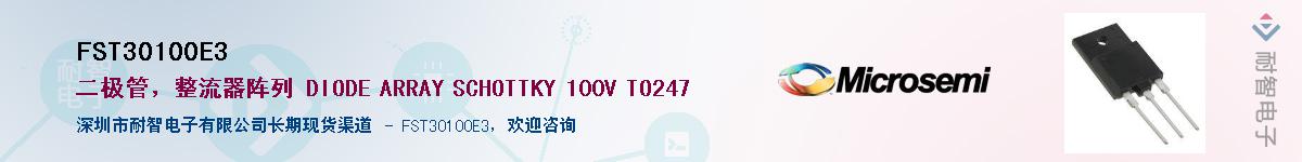 FST30100E3������-�������