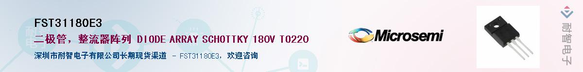 FST31180E3������-�������