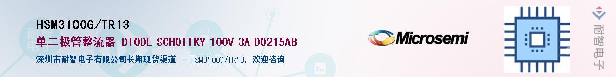 HSM3100G/TR13������-�������