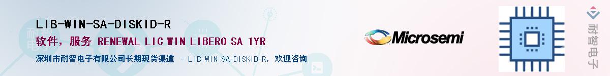 LIB-WIN-SA-DISKID-R������-�������