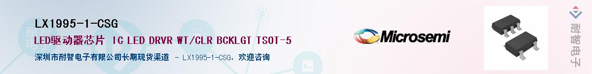 LX1995-1-CSG����(y��ng)��-�������