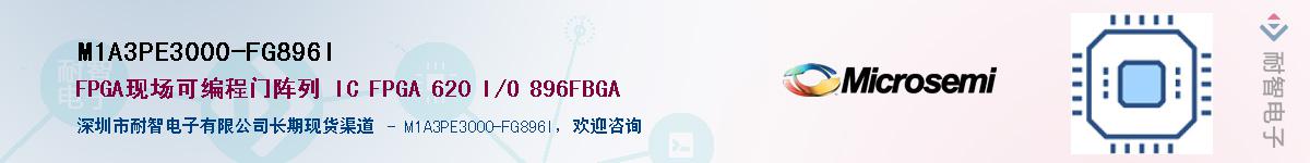 M1A3PE3000-FG896I������-�������
