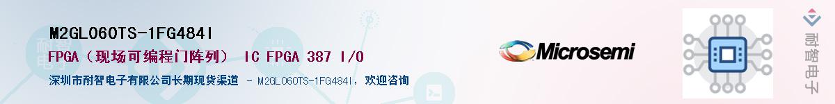 M2GL060TS-1FG484I������-�������