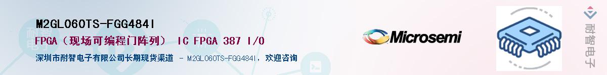 M2GL060TS-FGG484I������-�������