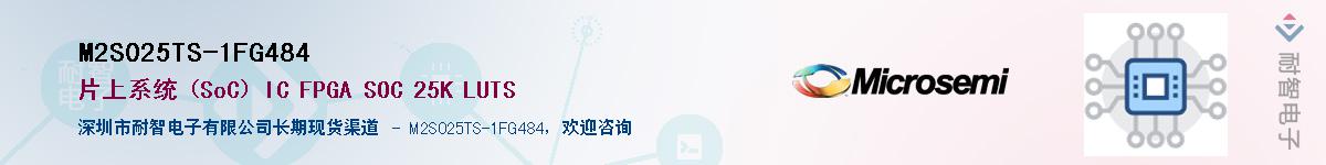 M2S025TS-1FG484������-�������