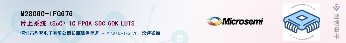 M2S060-1FG676������-�������