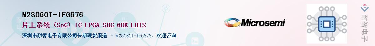 M2S060T-1FG676������-�������