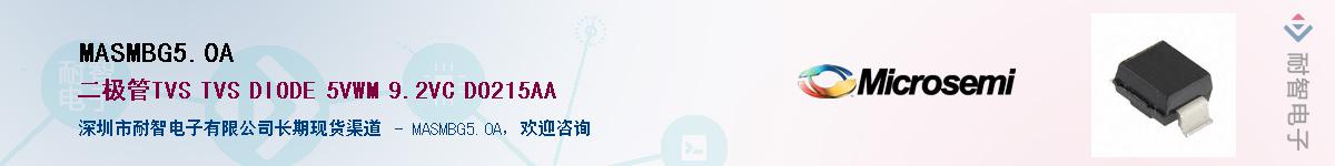 MASMBG5.0A������-�������