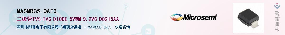 MASMBG5.0AE3������-�������