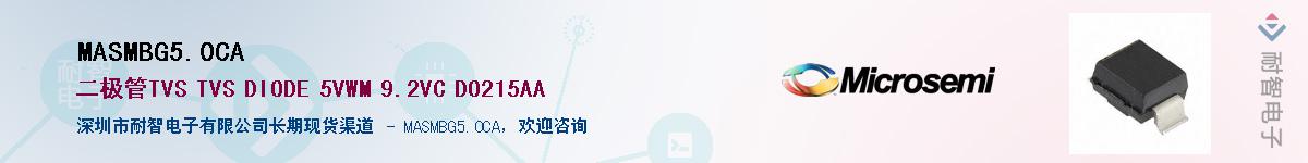 MASMBG5.0CA����(y��ng)��-�������