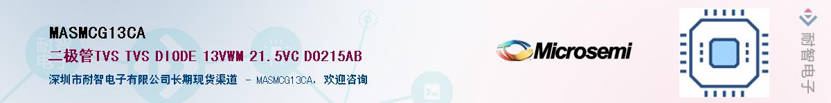 MASMCG13CA������-�������