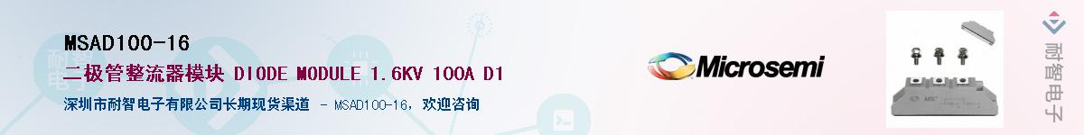 MSAD100-16������-�������