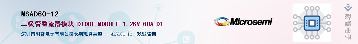 MSAD60-12������-�������