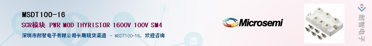 MSDT100-16������-�������