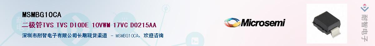 MSMBG10CA������-�������