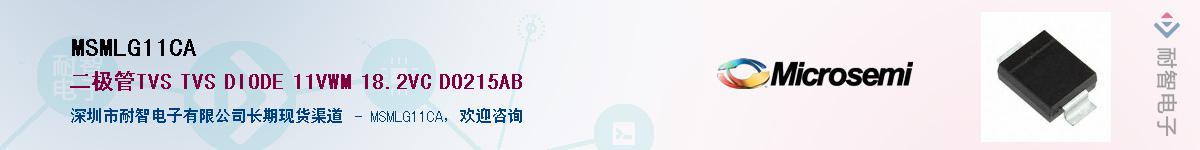 MSMLG11CA������-�������