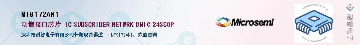 MT9172AN1������-�������