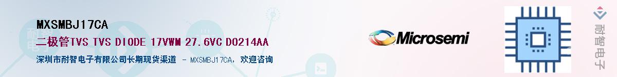 MXSMBJ17CA������-�������