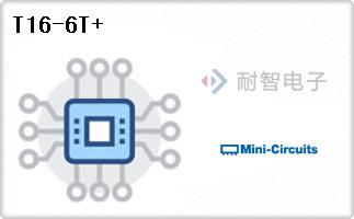 T16-6T+
