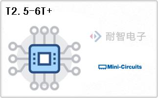 T2.5-6T+