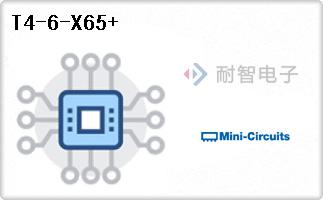 T4-6-X65+