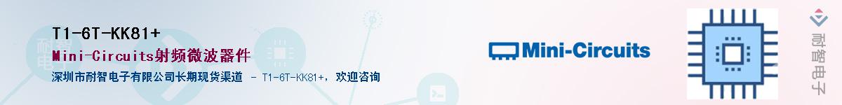 T1-6T-KK81+������-�������