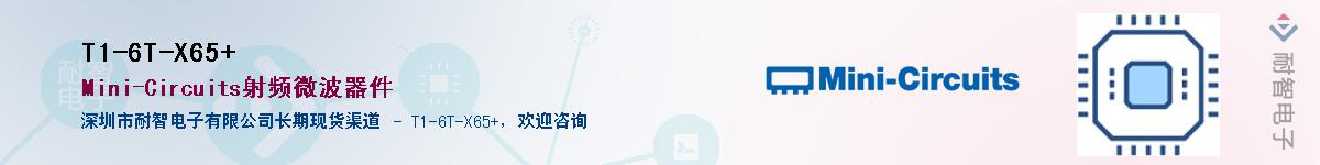 T1-6T-X65+����(y��ng)��-�������