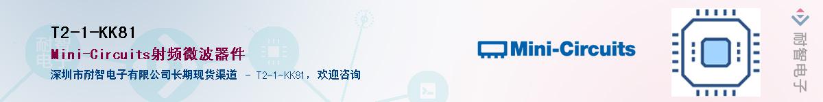 T2-1-KK81������-�������