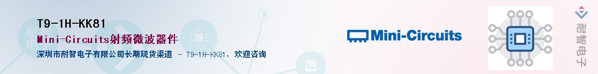 T9-1H-KK81������-�������