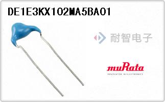 DE1E3KX102MA5BA01