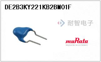 DE2B3KY221KB2BM01F