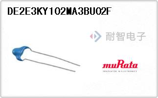 DE2E3KY102MA3BU02F