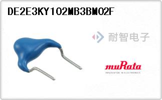DE2E3KY102MB3BM02F