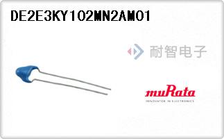 DE2E3KY102MN2AM01