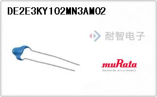 DE2E3KY102MN3AM02