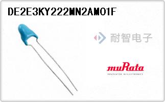 DE2E3KY222MN2AM01F