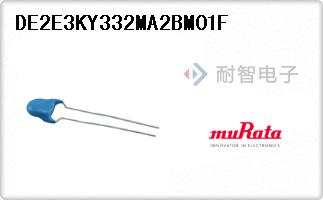 DE2E3KY332MA2BM01F